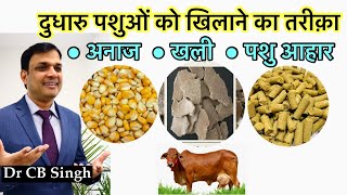 दुधारु पशुओं को खिलाने का सही तरीक़ा | Dairy Farm | Dr CB Singh | Dairy Ustaad