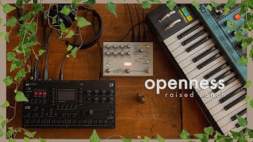 o p e n n e s s | raised ranch | octatrack/moog/microcosm