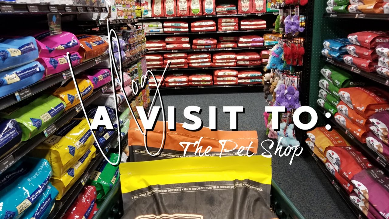 A visit to the Pet Shop - YouTube