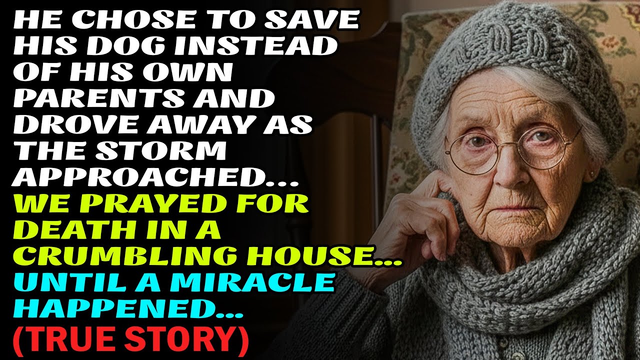 A TRUE STORY ABOUT THIS GRANDMA 👵💔 AN EMOTIONAL AND MOTIVATIONAL STORY