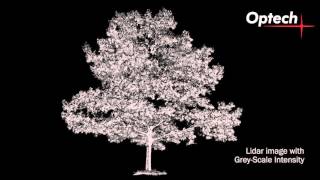 ILRIS Terrestrial Laser Scanner   Spinning Tree