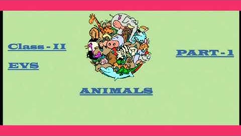 ANIMALS (Introduction) class-2 EVS