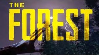 The Forest - survival of the retards Funny Moments / Mutiplayer Gameplay