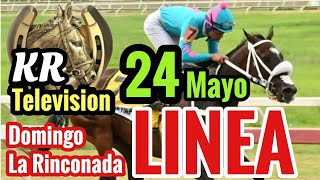 Pronóstico La Rinconada 24 De Mayo KR TELEVISION 📺 #5y6 #adelantados #Hipismo #domingo #larinconada🏇