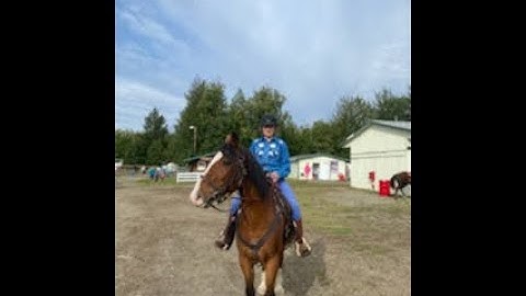 Part 14 For Sofia Equestrian101 Channel MEP!