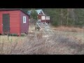 Hairy moment a bear plays football in man's garden