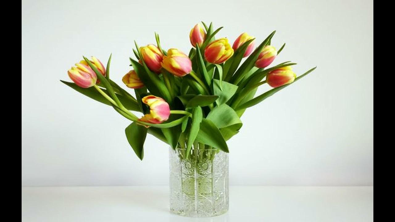 Как дольше сохранить цветы тюльпаны. Тюльпаны в вазе фото дома. Тюльпаны долго стоят в вазе с водой. Тюльпаны в ваза фото красивые. Чтобы тюльпаны дольше стояли в вазе.