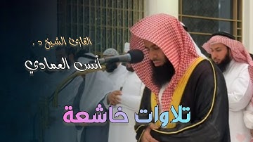 بتحبير خلاّبة في تلاوة مميزة تفوق الوصف من صلاة المغرب للشيخ أنس العمادي | 11-6-1446 هـ