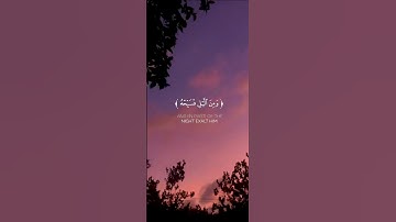 《 فاصْبِرْ على ما يقولون》❤️🍃 | ريان الكردي - سورة ق |  surah qaf #quran #اكسبلور #قران #allahuakbar