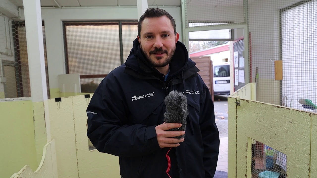 Rundgang durchs Duisburger Tierheim