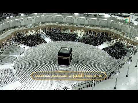 أداء تدبري خاشع لآخر سورة الزمر للشيخ د بندر بليلة فجر السبت 1 6 1447هـ