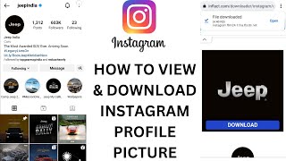 How to View & Download Instagram Profile Picture screenshot 4