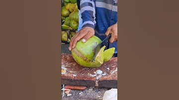 Amazing Coconut Cutting Skills. Natural Big Fresh Coconut Water.#shorts #cuttingskills #coconut #fyp