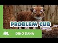 Dino Dana | Problem Cub | Episode Promo | Michela Luci, Saara Chaudry, Nicola Correia-Damude