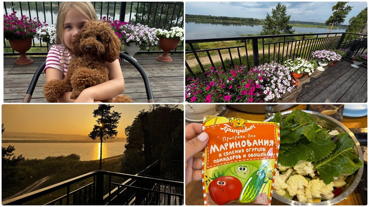 💥КОЕ ЧТО ИЗ НЕИЗДАННОГО💥ДАЧА🏘️ЗАГОТОВКИ🥗ПОВСЕДНЕВНЫЕ ДЕЛА❤️