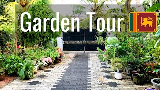 Home Garden Tour Vavuniya, Sri Lanka| My Garden Tour in a pleasant rainy day| bird tweet|