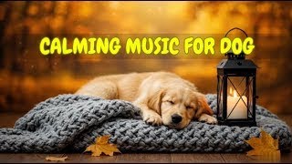 12 HOURS of Music to Calm Dogs During Thunderstorms 🐾🎵 | Anxiety Relief for Scared Pets