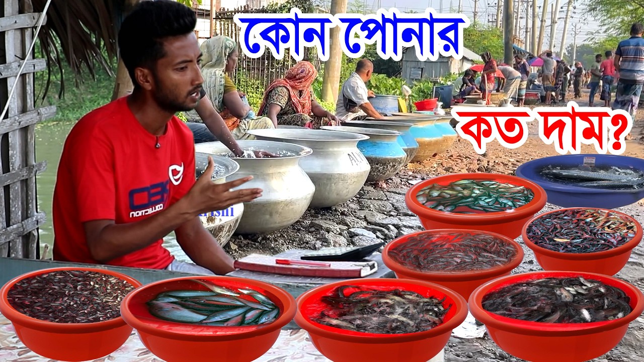 কোন মাছ পুকুরে দ্রুত বড় হয় কিভাবে মাছ চাষ করবেন- মাছ চাষ করে ভাগ্য পাল্টিয়েছে জাহাঙ্গীর