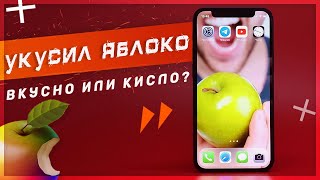 ШОК-МЕСЯЦ с iPhone 12 mini ПОСЛЕ 10 ЛЕТ на Android - впервые на iOS