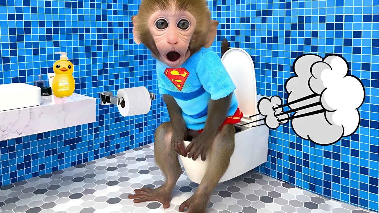 Monkey Bon Bon with the puppy build  lego toilet together|Nursery Rhymes&Kids Songs|Bobby Kids Songs