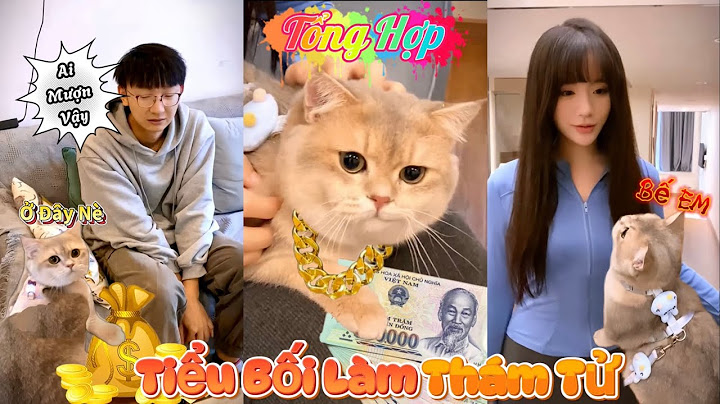 TỔNG HỢP Mèo Tiểu Bối Làm Thám Tử Tập 5 | Nổi Khiếp Sợ Của Những Người Giấu Quỹ Đen (Quỳnh Vịt)