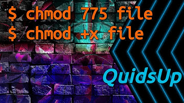 Linux Terminal Basics: chmod - File Permissions