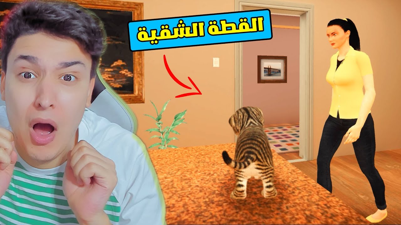 القطة الشقية و السيدة المجنونة 😱 Cat Simulator 2