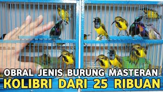 Download Lagu HARGA DIBAWAH NORMAL PROMO !!! SOGON METATOL JTN DI 35 RIBUAN PASAR BURUNG PRAMUKA MP3 Download Lagu HARGA DIBAWAH NORMAL PROMO !!! SOGON METATOL JTN DI 35 RIBUAN PASAR BURUNG PRAMUKA MP3