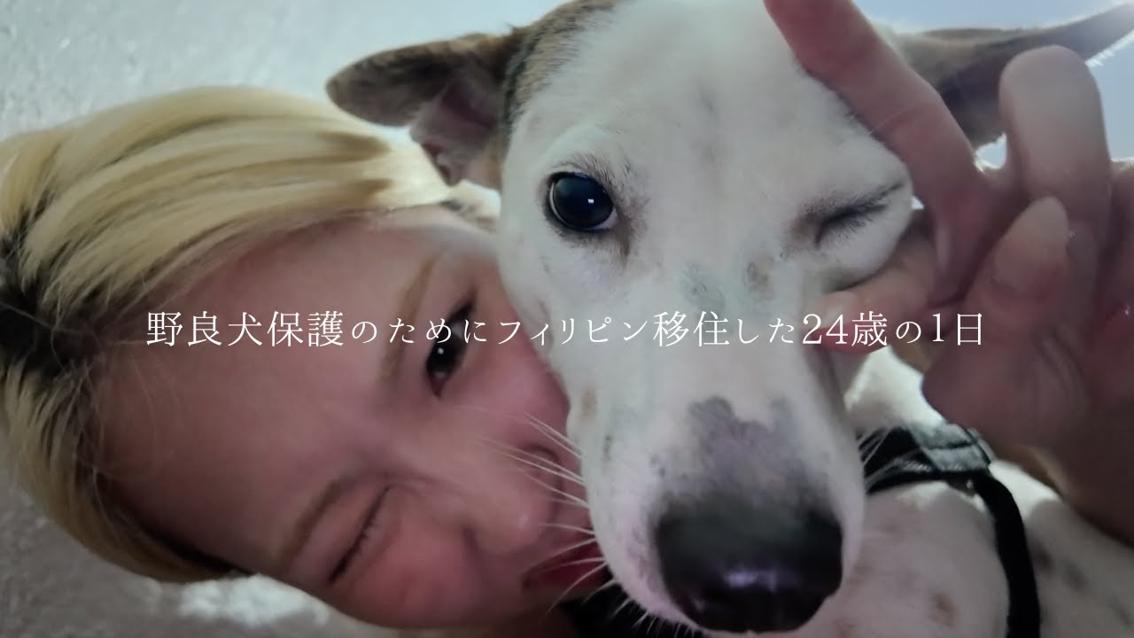 野良犬保護のためにフィリピン移住した24歳｜仕事や日々のあれこれ
