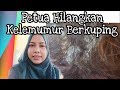 Petua Hilangkan Kelemumur Berkuping