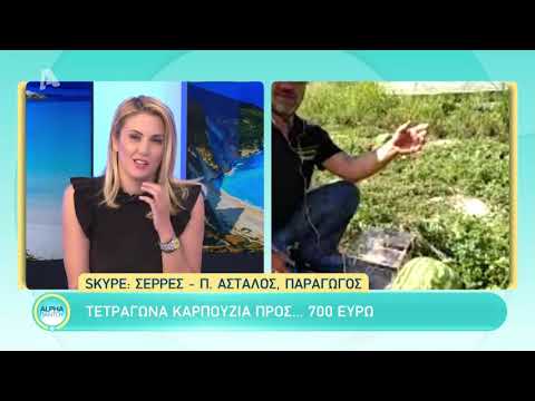 Τα σερραϊκά τετράγωνα