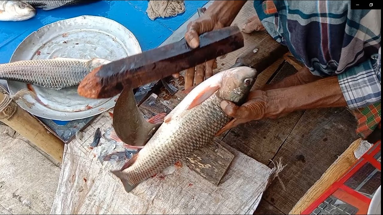 awesome Giant Rita-Rohu-Fish Cutting Skills Live In Fish Market | Fish cutting