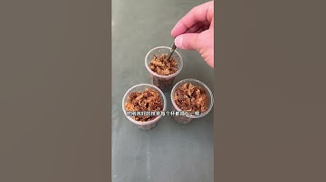 How amazing to grow orchids propagate plant fast and easy #4444