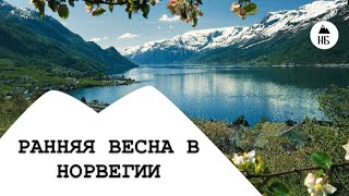 Главное удовольствие в Норвегии 🥰