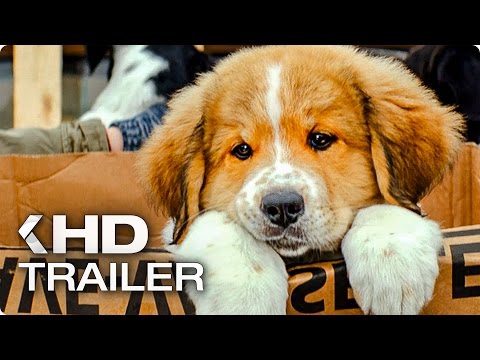 BAILEY - EIN