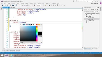 Visual Studio 2013 Web Editor Features   CSS