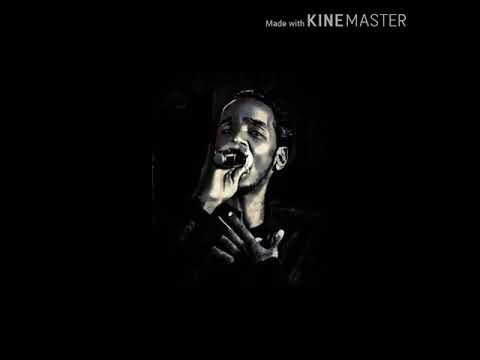 محمود عبد العزيز القمر البيضوي حفلة