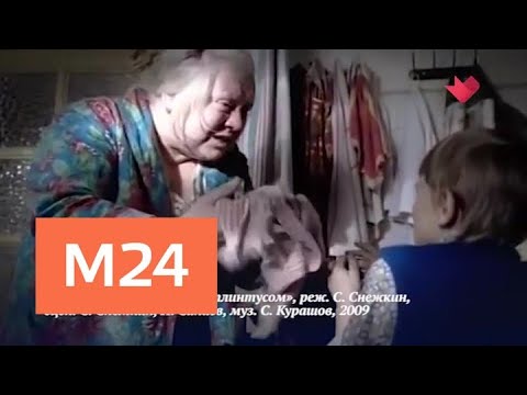 "Раскрывая мистические тайны": гороскопы - Москва 24