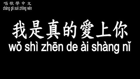 【唱歌學中文】►王傑–我是真的愛上你◀ ►wáng jié - wǒ shì zhēn de ài shàng nǐ◀『你有一雙深情的眼睛　你有融化冰雪的魔力』【動態歌詞中文、拼音Lyrics】
