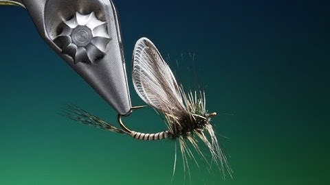Tying Origami wings with Barry Ord Clarke