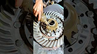 Assembling a Differential Gear#shorts #technique #satisfying #tricks #working