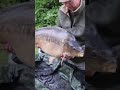 Adam’s new pb and it’s a 30 #fishing #carpfishing #fishinglife