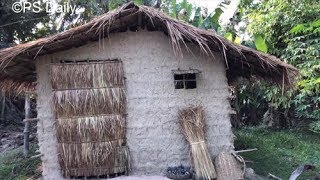 Primitive Technology: Cogon Grass Roof Hut | Short Video