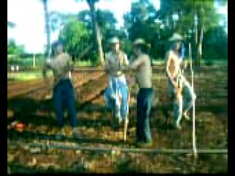 Escuela Agricola Minga Guazu--LOS MUCHACOS DE LECH...