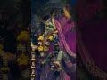 Radhe Radhe