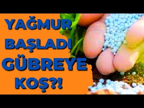 Video: Nasıl araba kiralanır. 