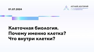 : 01.07.2024 |  .   ?   ?
