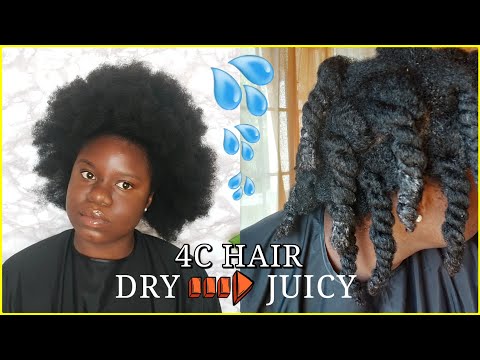 MOISTURIZING THICK, DRY, HIGH POROSITY, HIGH DENSITY 4C NATURAL HAIR | GROWTH AND LENGTH RETENTION