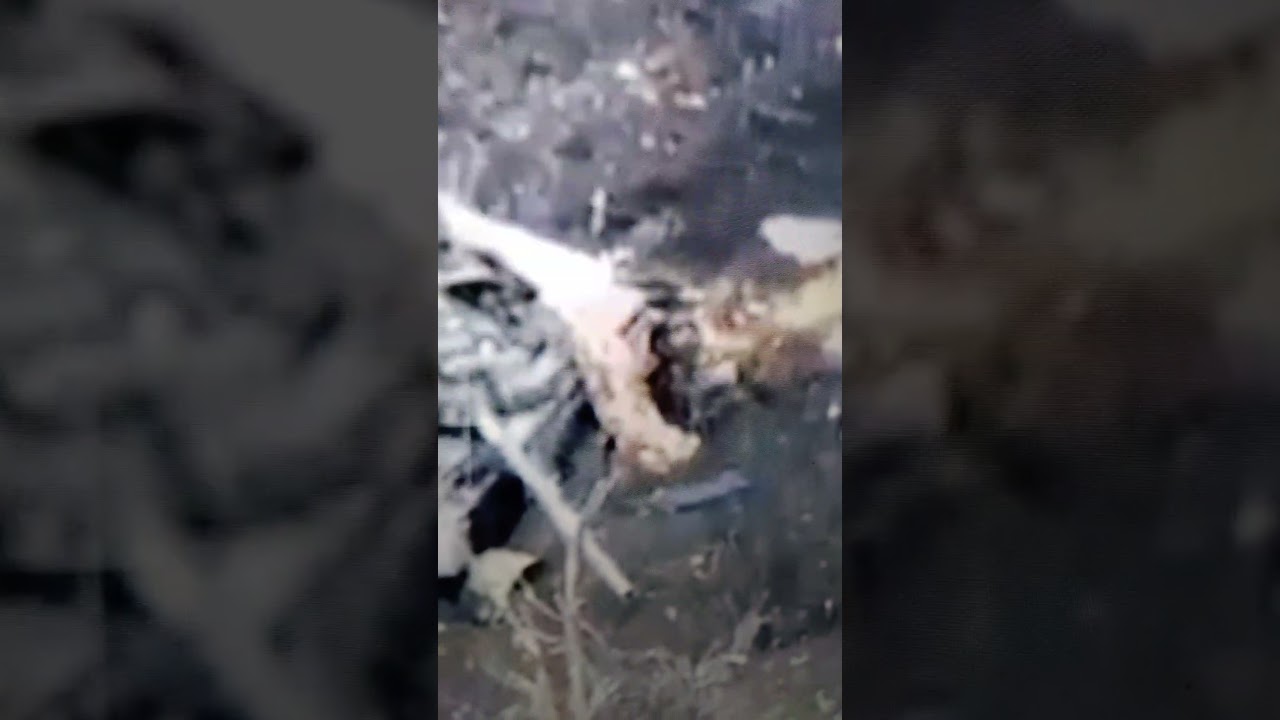 Russian tank destroyed by Ukrainian artillery in the Dobas