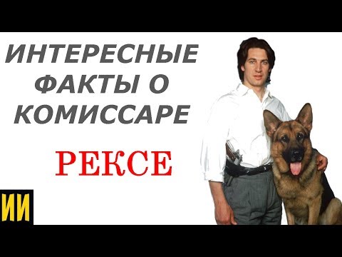 Интересные факты о комиссаре рексе,. о которых ВЫ НЕ ЗНАЛИ